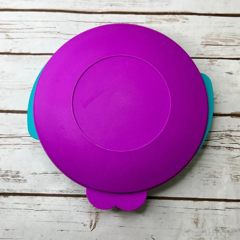 Tupperware Divided Plate Teal Blue Purple 3 Compartment Lid 8.5 Inch